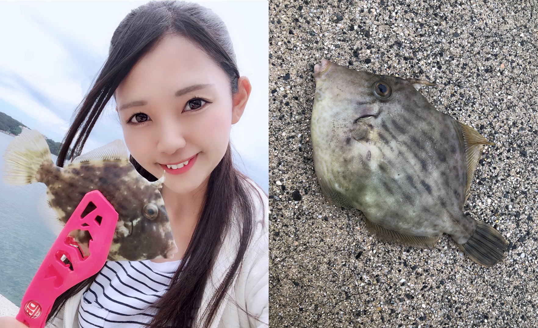 秋シーズン 岡山でカワハギ釣りがスタートしました 釣りガール 女性のための釣りコミュニティ