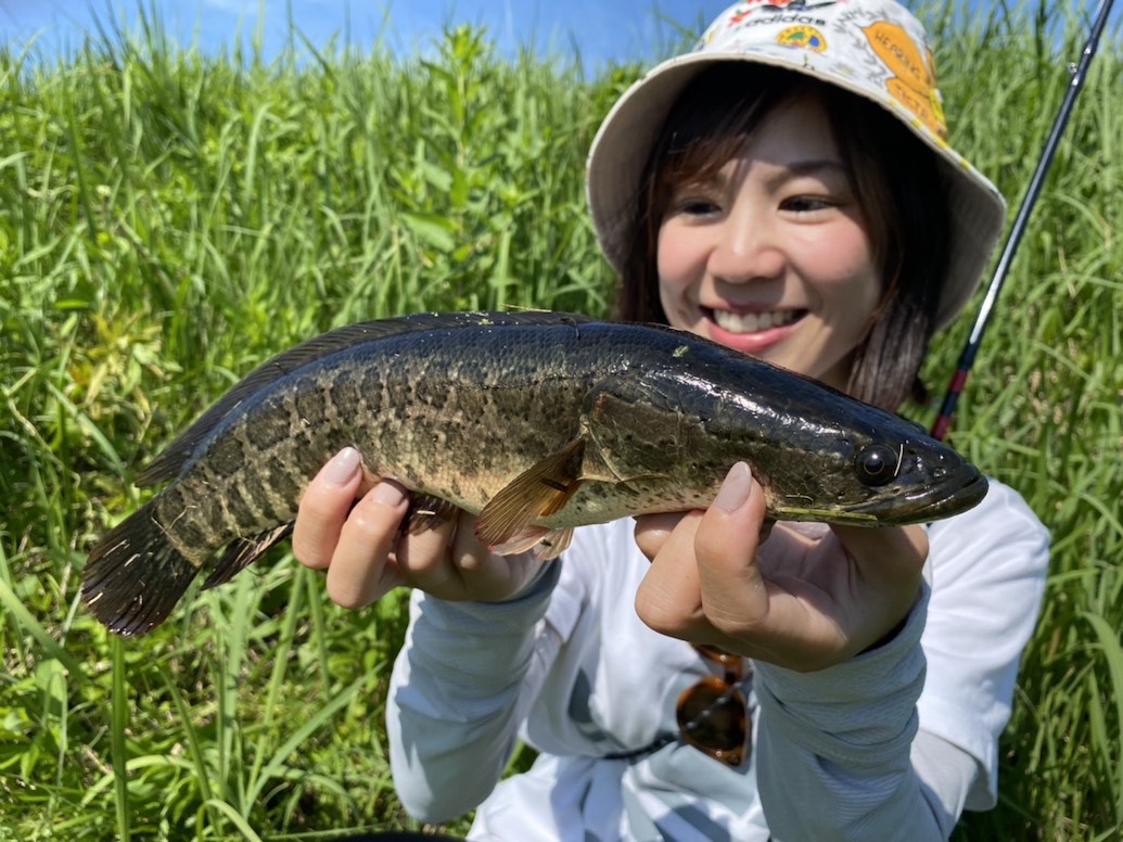 サキやん釣り三昧 午前編 早起き頑張って 池で雷魚釣り 釣りガール 女性のための釣りコミュニティ