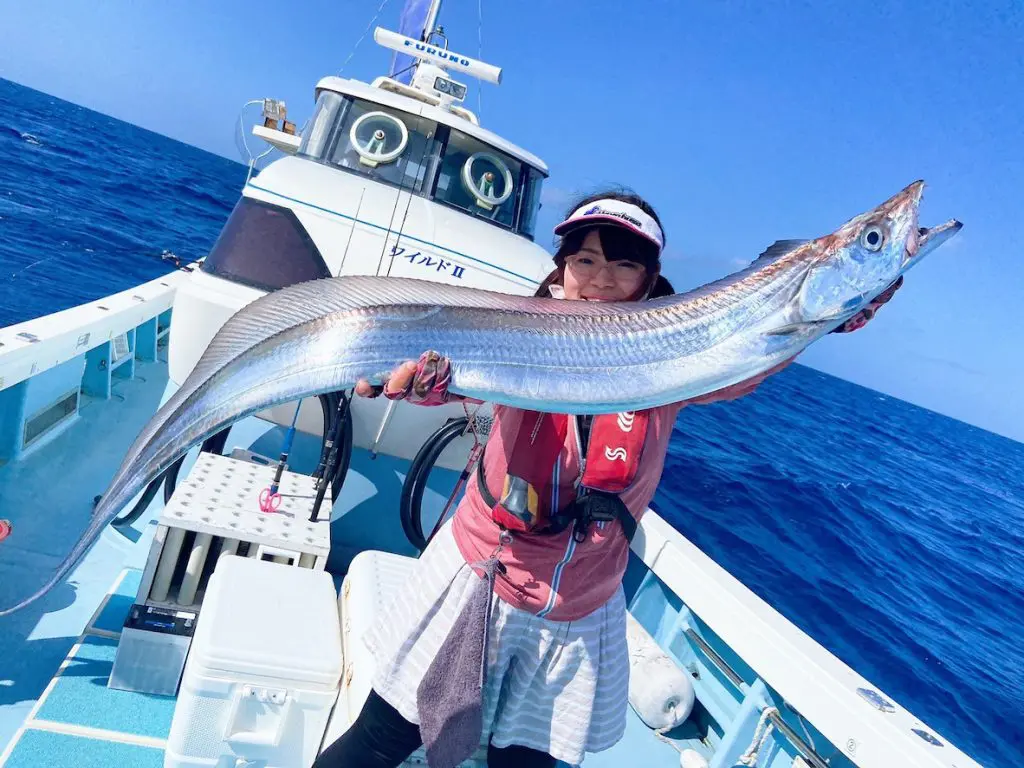 奈良県で釣れたオイカワの釣り・釣果情報 - アングラーズ