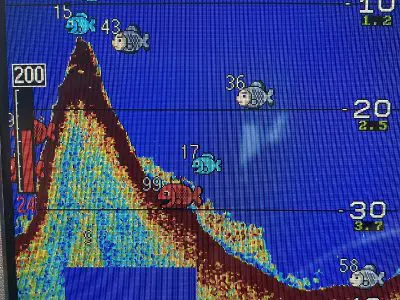 愛媛県松山沖でメバル釣りを楽しんできました 今回はメバルサビキでチャレンジ Func ファンク 釣りガール 女性アングラーのための釣りコミュニティ