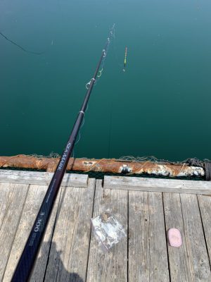 海上釣り堀で釣りをする様子