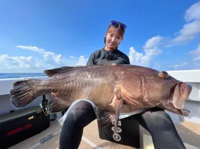フルフィールドクエ480M ティアノス３０セット！ クエ釣り、男女群島 フルフィールドクエ480M ティアノス30セット！ クエ釣り、男女