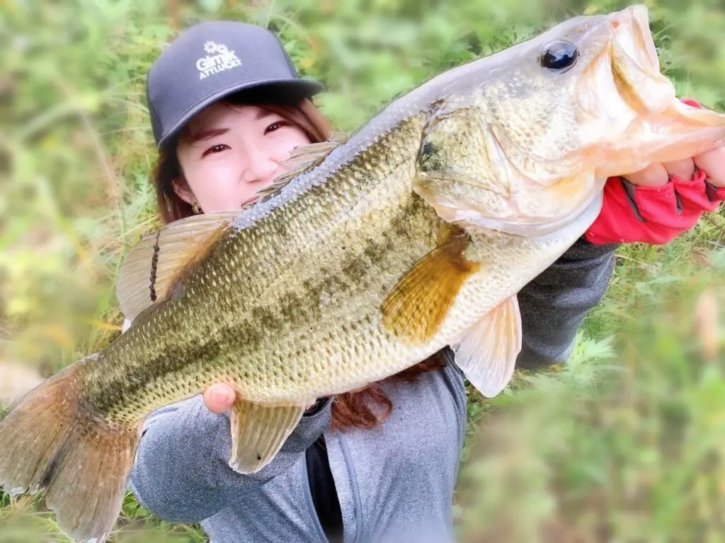 バス釣りの仕掛けの作り方！バスフィッシング初心者への入門ガイド