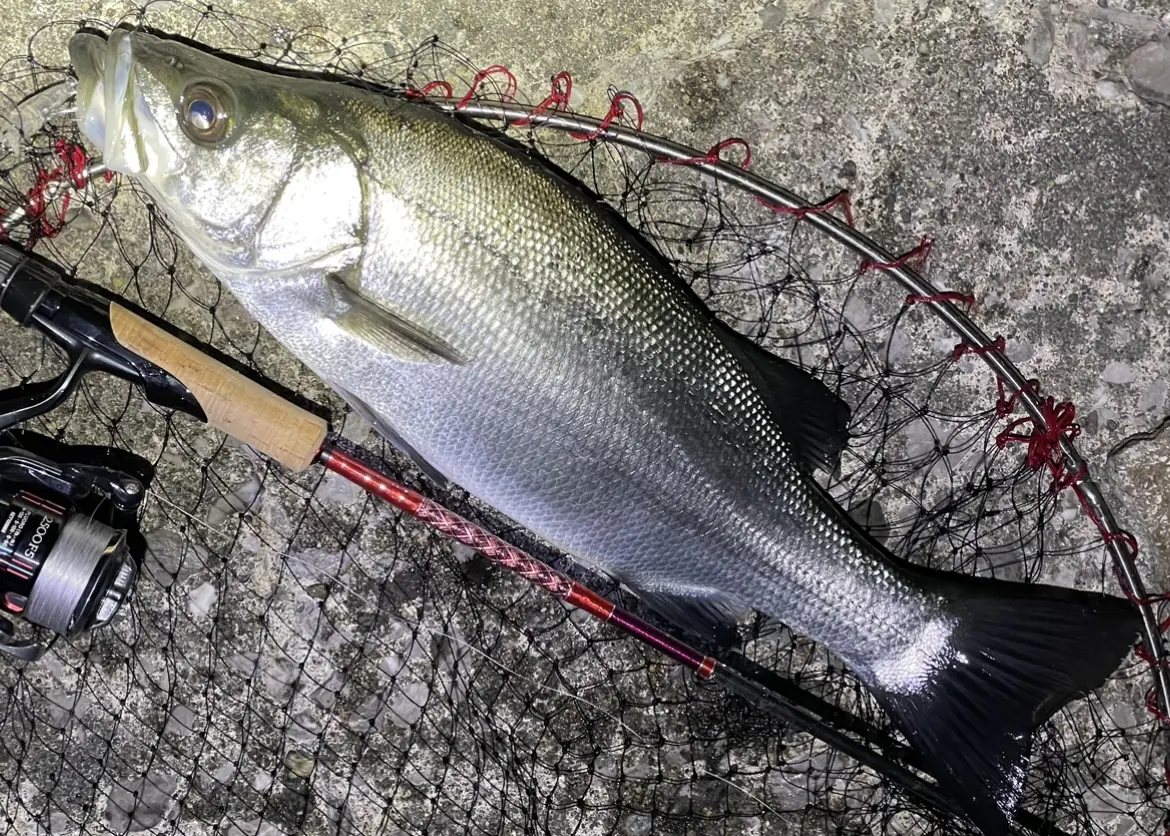 磯釣りされる方　必須 LEXER磯遠投 振出 遠投 磯竿 4号-530PTS 4-530 フカセ釣り