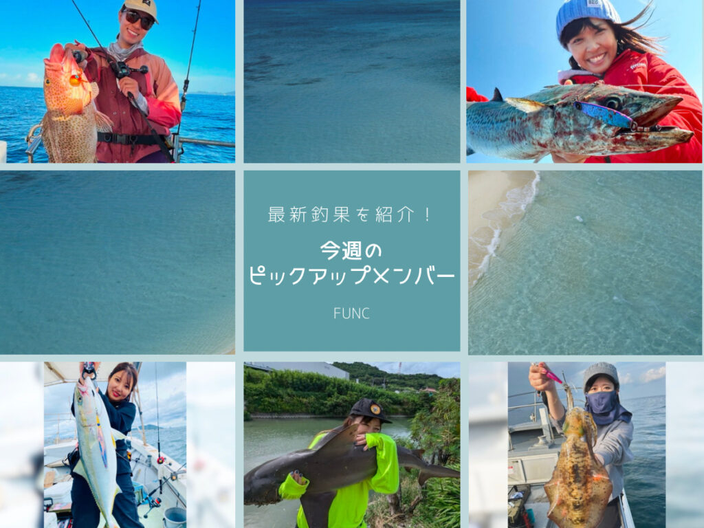 今週のピックアップメンバーを紹介します🐟